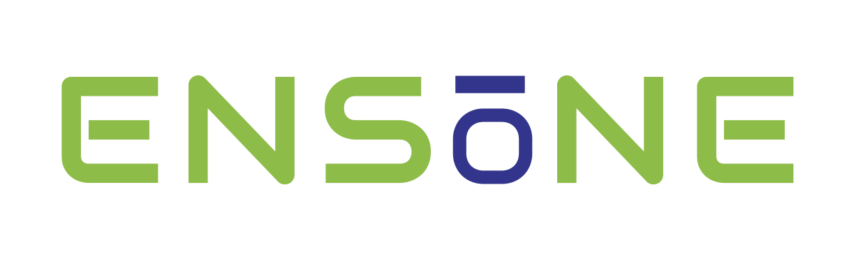 Ensone Technologies Inc